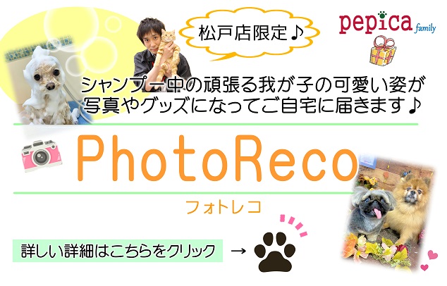 ペットショップ ペピカ 動物病院 美容室 ペットホテル併設した総合ペットショップ